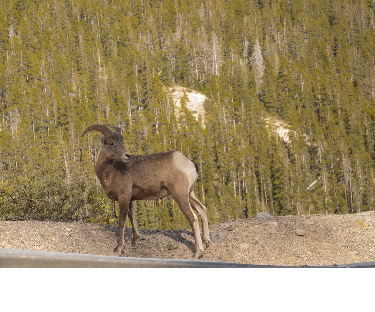 Unsplashed background img 2