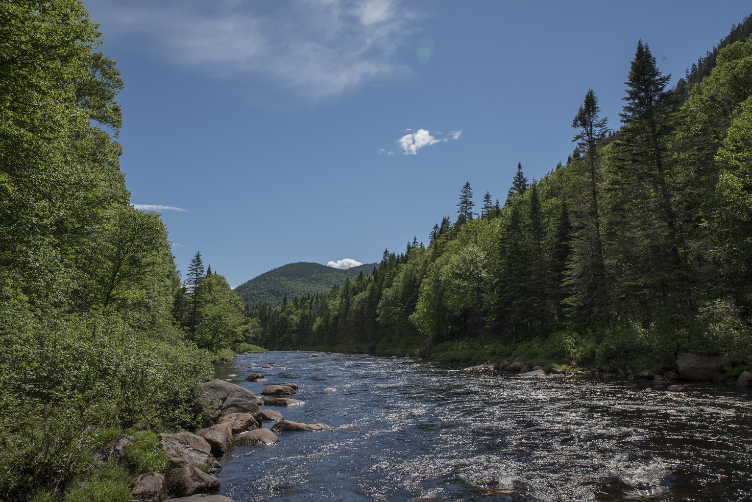 Unsplashed background img 3