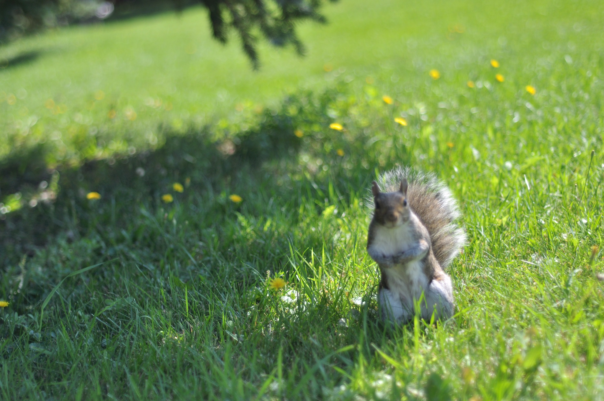 Unsplashed background img 2