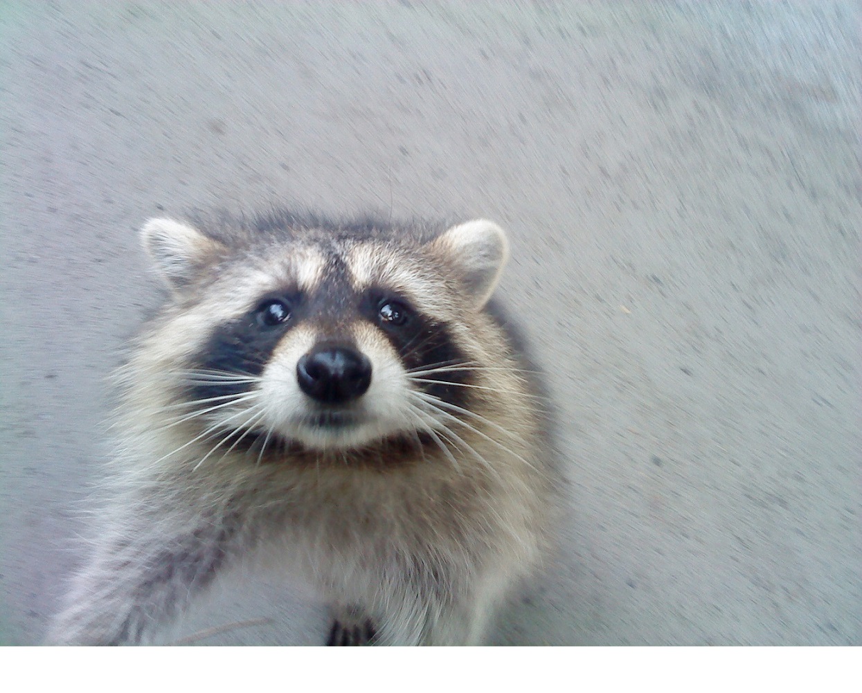 Unsplashed background img 3