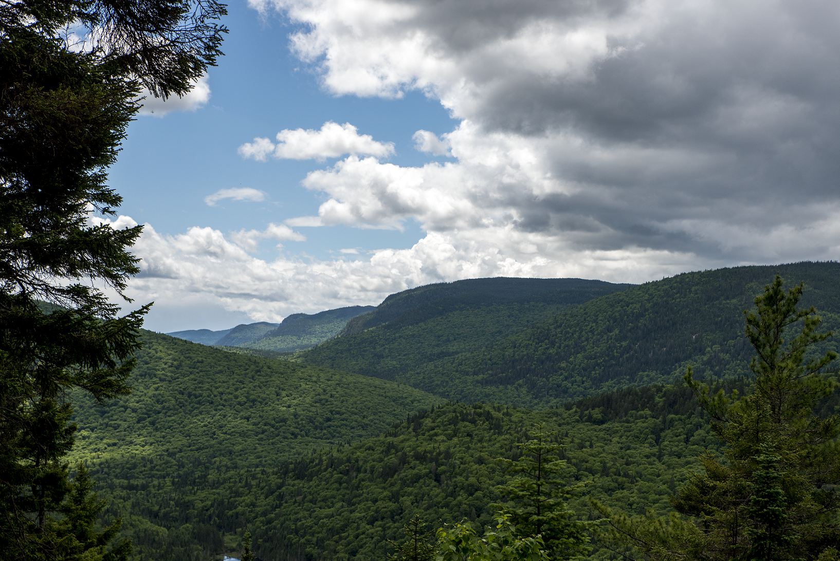 Unsplashed background img 2