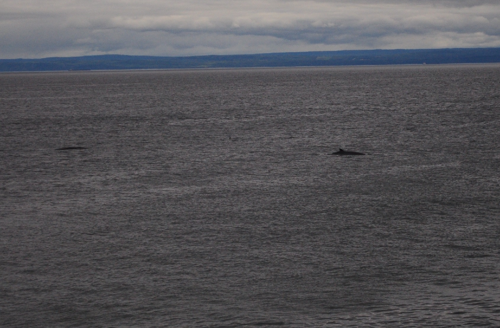 Unsplashed background img 1