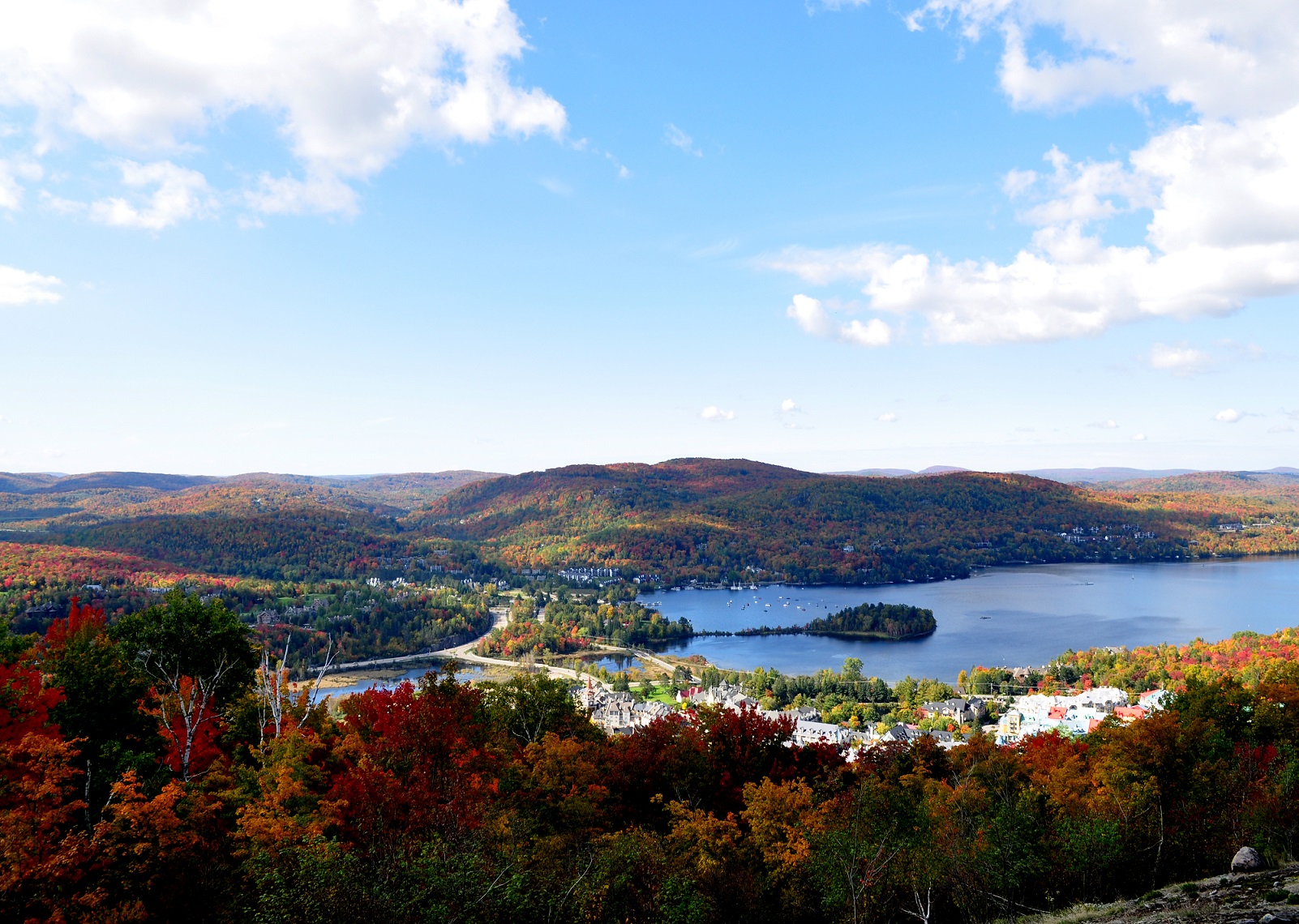 Unsplashed background img 2